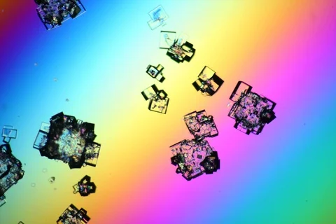 Growing crystal microscope nomarski interference contrast polarizer. Timelapse. Stock Footage 109199291