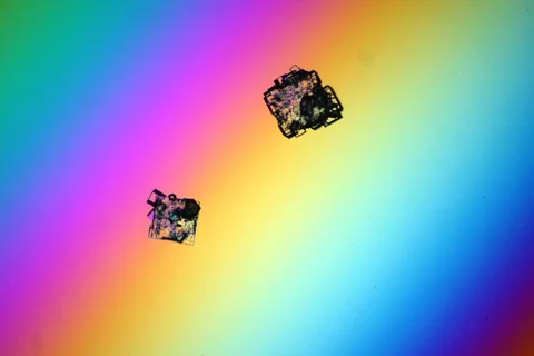 Growing crystal microscope nomarski interference contrast polarizer. Timelapse. Video stock 109201891