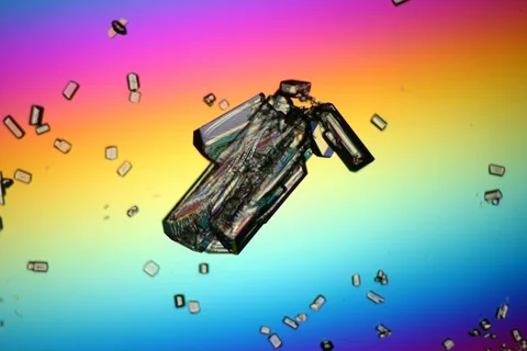 Growing crystal microscope nomarski interference contrast polarizer. Timelapse. Stock Footage 109201923