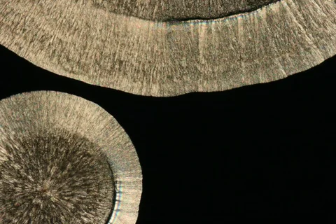 Growing crystal microscope nomarski interference contrast polarizer. Timelapse. Stock Footage 109206933