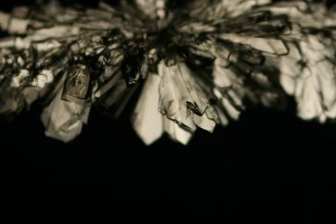 Growing crystal microscope nomarski interference contrast polarizer. Timelapse. Video stock 109213063