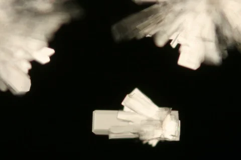 Growing crystal microscope nomarski interference contrast polarizer. Timelapse. Stock Footage 109213861