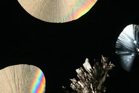 Growing crystal microscope nomarski interference contrast polarizer. Timelapse. Stock Footage 109214266