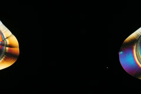 Growing crystal microscope nomarski interference contrast polarizer. Timelapse. Stock Footage 109216166