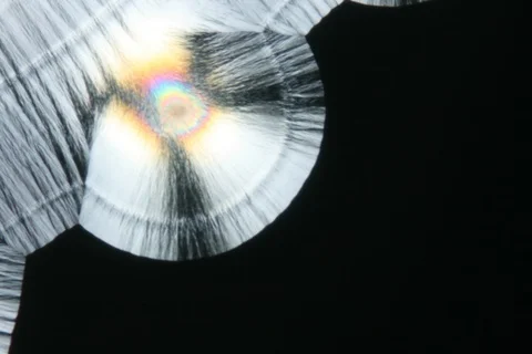 Growing crystal microscope nomarski interference contrast polarizer. Timelapse. Stock Footage 109219943