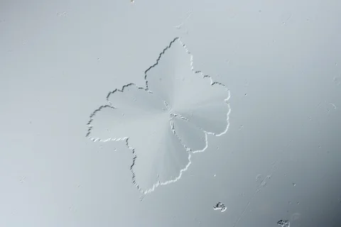 Growing crystal microscope. Timelapse. Video stock 108493076