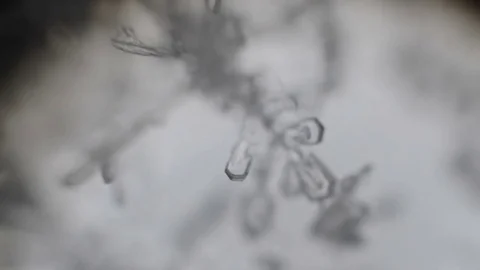 Growing the crystal under a microscope ice Stock Footage 72784981