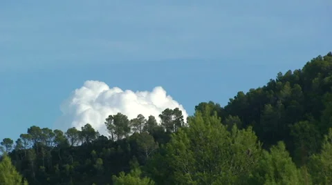 Growing cumulus cloud, future storm Stock Footage 50084131