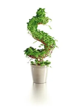 Growing dollar tree Stock Illustration
