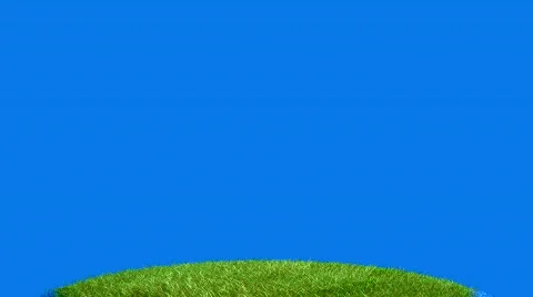 Growing dollar tree timelapse on blue BG, CGI, alpha channel Stock Footage 774240
