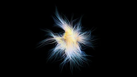Growing energy lines. Stock Footage 92699534