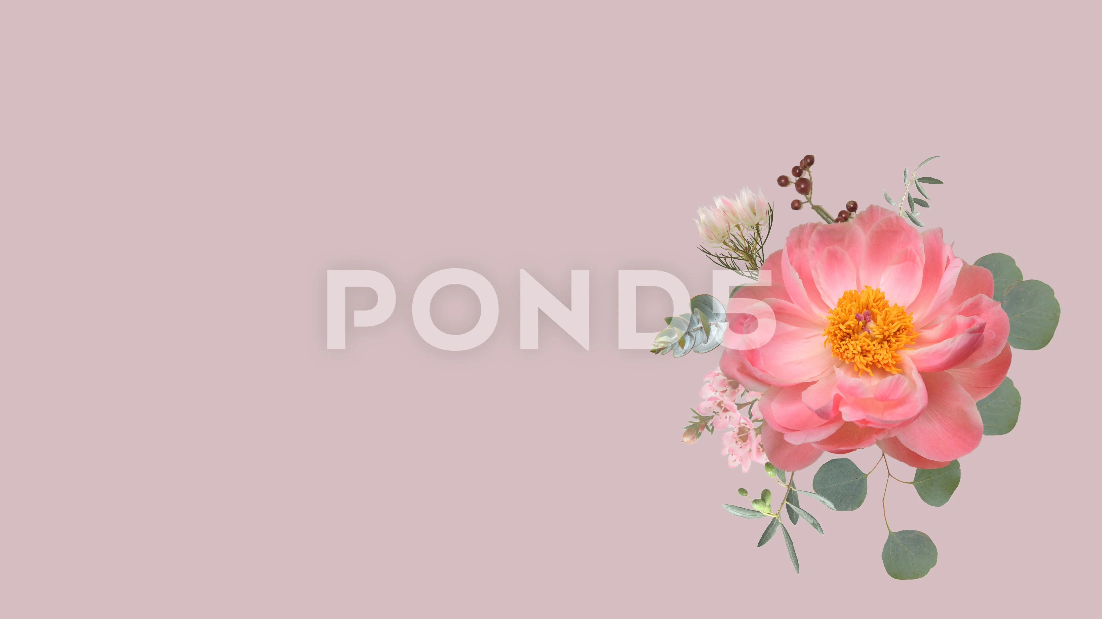 Growing floral background from real flow... | Stock Video | Pond5