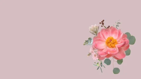 Growing floral background from real flowers, blooming botanical, 4k animation Stock Footage