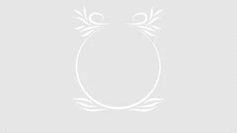 Growing floral corner border animation. Video clip with alpha channel. Stock Footage 313559785
