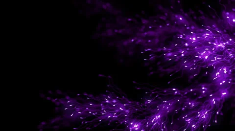 Growing Flower Stock Footage 37136455