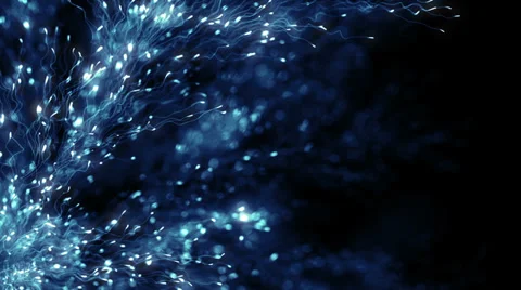 Growing Flower Stock Footage 37136742