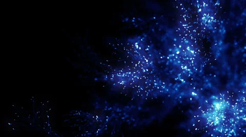 Growing Flower Stock Footage 37152912