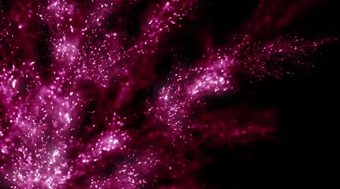 Growing Flower Stock Footage 37153232