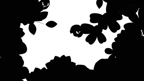 Growing flower transition Stock Footage 130929333