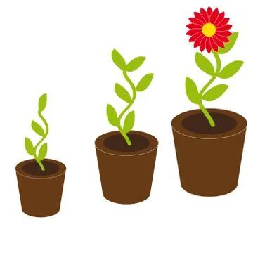 Growing flower on white background Stock Illustration