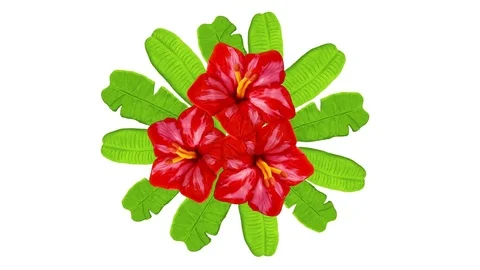 Growing flowers and leaves. Includes alpha matte Stock Footage 72589066