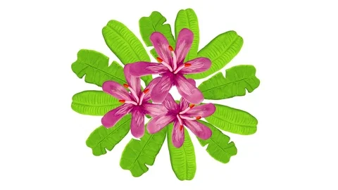 Growing flowers and leaves. Includes alpha matte. 4K Video stock 72589096
