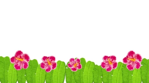 Growing flowers and leaves. Includes alpha matte. 4K Video stock 72610876