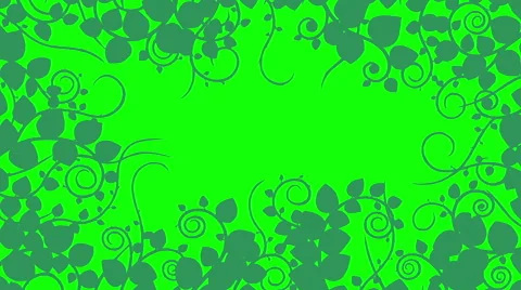 Growing flowers 库存影片 67651916