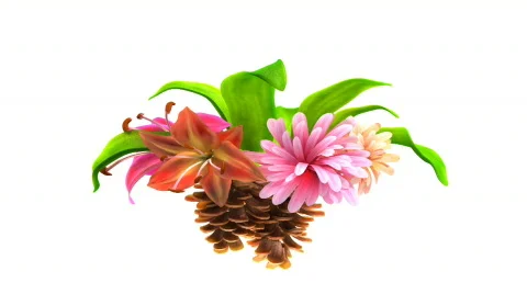 Growing flowers with leafs and pine cones 動画素材 648700