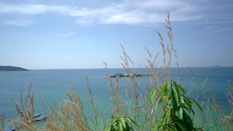 Growing grass against ocean background. 動画素材 166132183