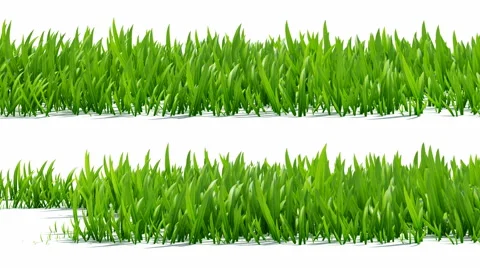 Growing grass with alpha channel Stock Footage 3523383