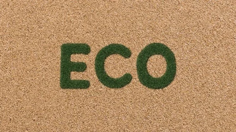 Growing Grass Eco Text with Sand Background Stock Footage 101976671