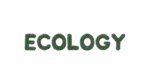 Growing Grass Ecology Text Video stock 101447837