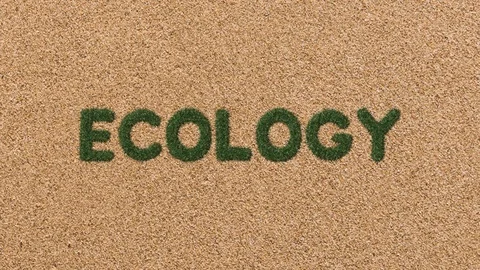 Growing Grass Ecology Text with Sand Background Stock Footage 101976589