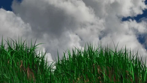 Growing grass fast on hills Stock Footage 77585719