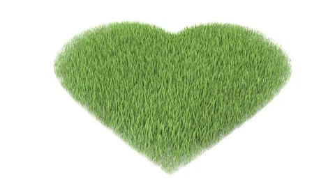 Growing Grass forming heart shape. Windy Grass. 3D Animation. Video stock 134968135