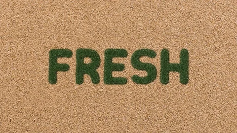 Growing Grass Fresh Text with Sand Background Video stock 101977122