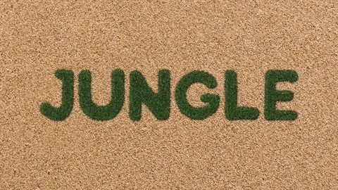 Growing Grass Jungle Text with Sand Background Video stock 101976321