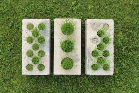 Growing grass made of bricks on a green lawn Stock Photos