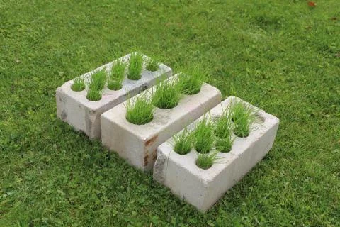 Growing grass made of bricks on a green lawn Stock Photos