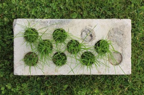 Growing grass made of bricks on a green lawn Stock Photos
