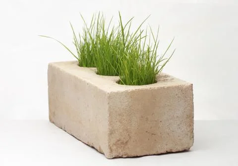 Growing grass made of bricks on a white background Stock Photos