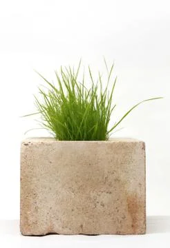 Growing grass made of bricks on a white background Stock Photos