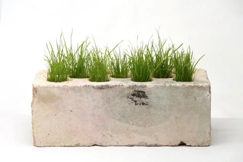 Growing grass made of bricks on a white background Stock Photos