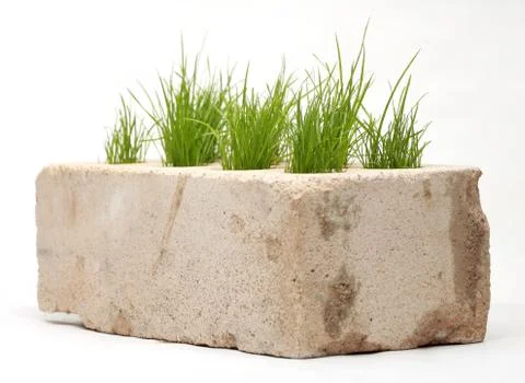 Growing grass made of bricks on a white background Stock Photos