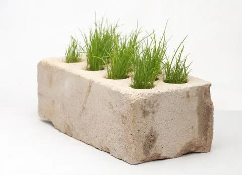 Growing grass made of bricks on a white background Stock Photos