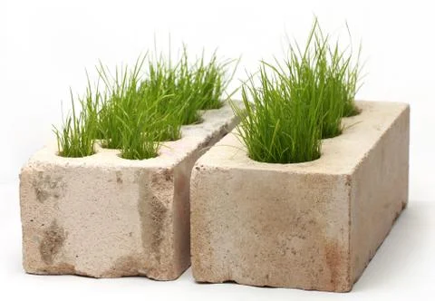 Growing grass made of bricks on a white background 库存照片