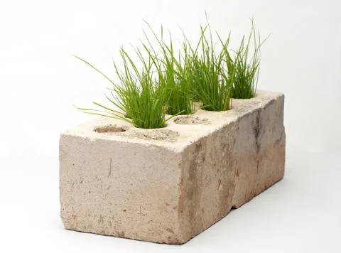 Growing grass made of bricks on a white background 库存照片