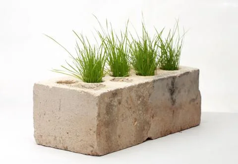 Growing grass made of bricks on a white background Stock Photos