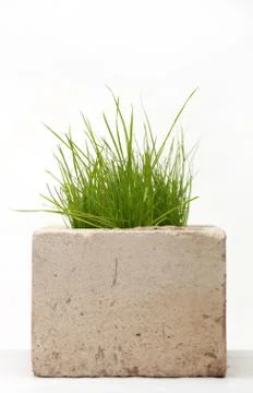 Growing grass made of bricks on a white background Stock Photos